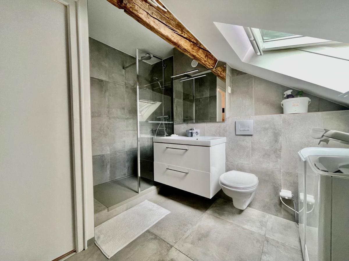 Appartement La Maison De Jade à Gex Extérieur photo